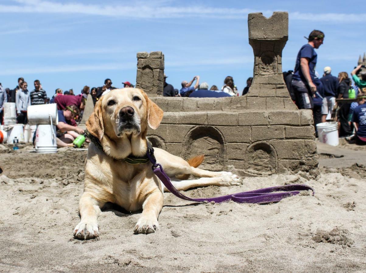 Beaches Inn | Herons Nest Loft Cannon Beach Luaran gambar